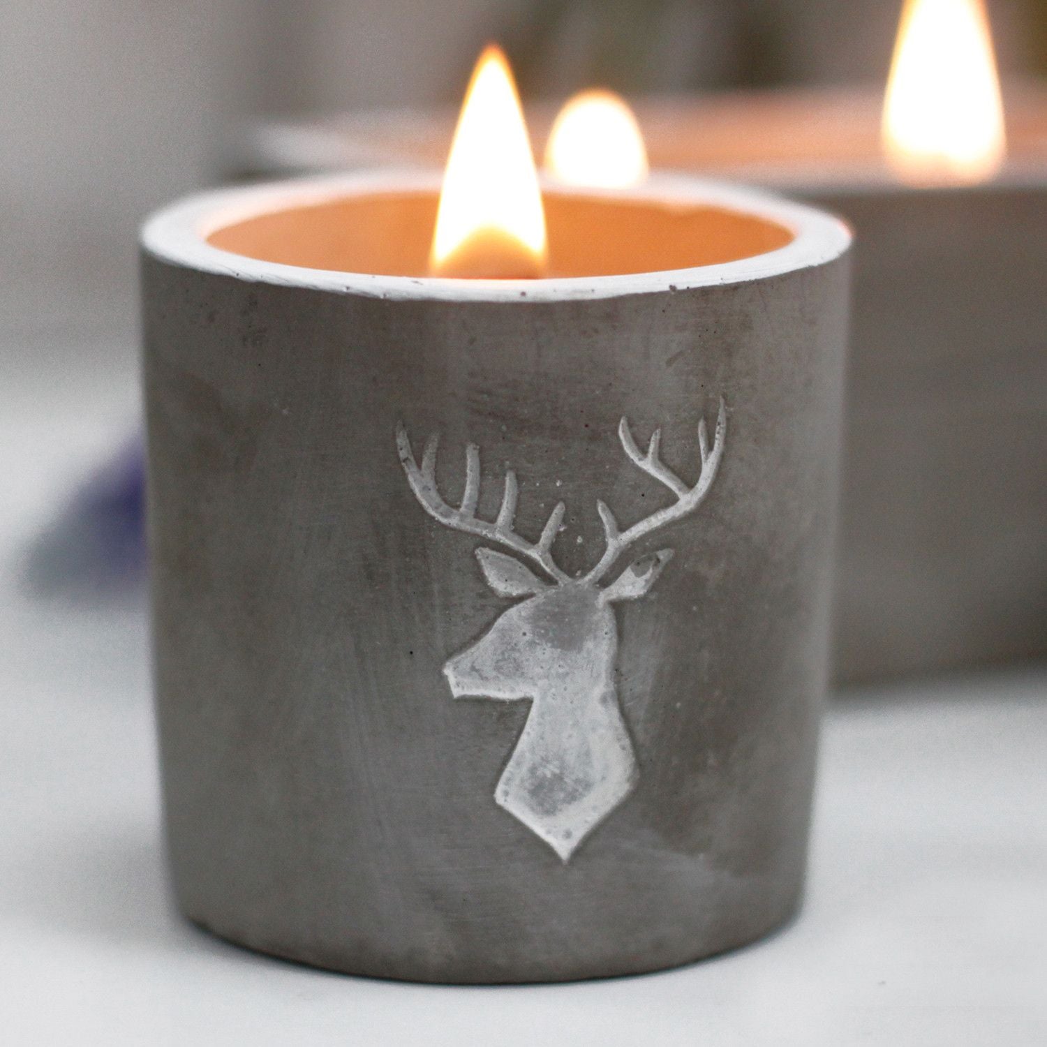 Med Concrete Soy Candle - Stag Head - Whiskey & Woodsmoke
